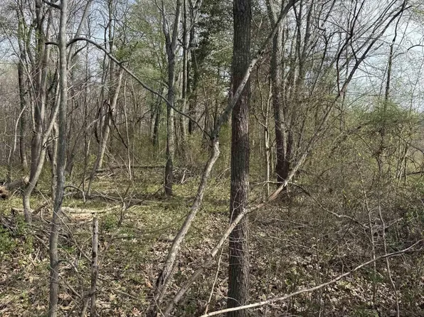 0 Walnut Rd, Boaz, KY 42027