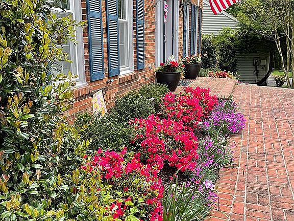 Flowerbeds updated in 2019