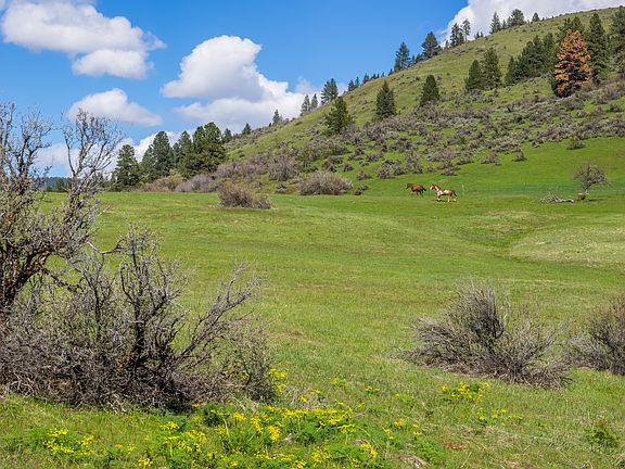 Northeast corner of property