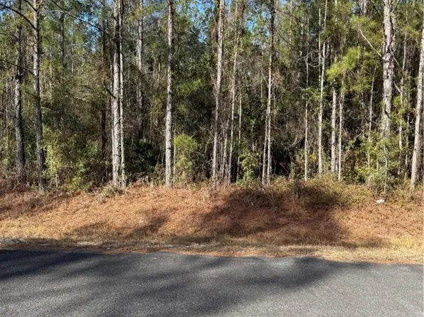 0 Heritage Cir, Hortense, GA 31543