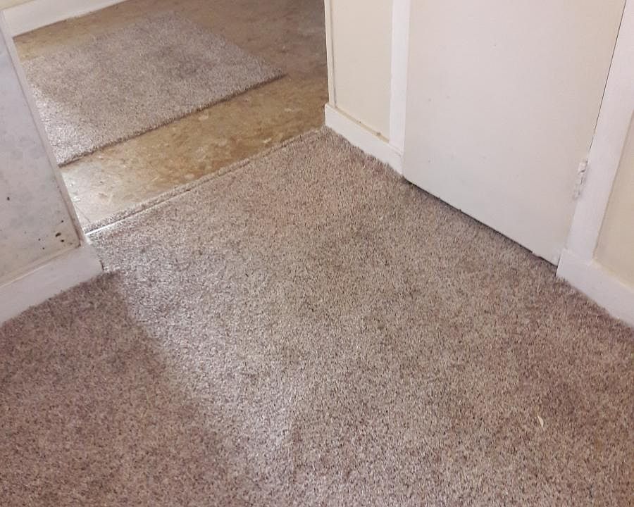 New carpet