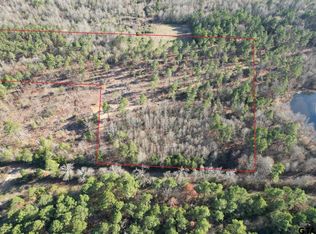 D County Rd #216, Beckville, TX 75631