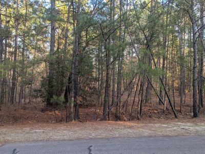 363 Chestnut Drive, Vass, NC, 28394