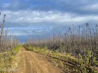 Nhn Lightning Ave, Healy, AK 99743