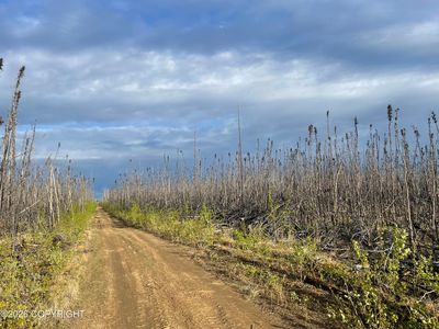 Nhn Lightning Ave, Healy, AK, 99743