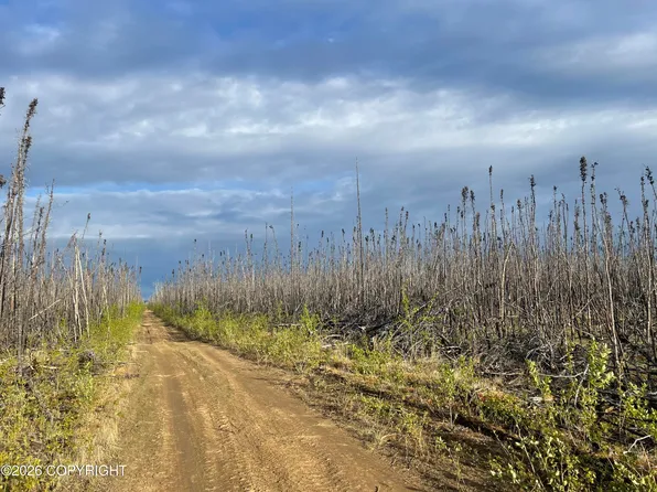 Nhn Lightning Ave, Healy, AK 99743