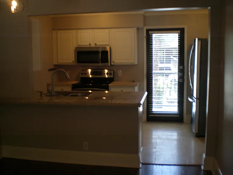 10119 Regal Park Ln — Photo 8