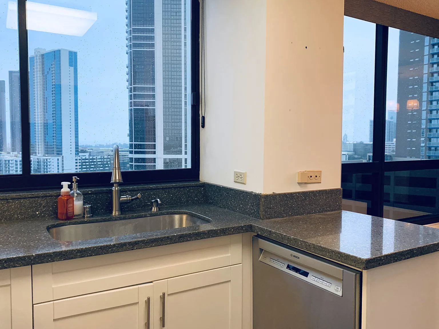 2 bed, 896 sqft, $3,000 — Photo 3