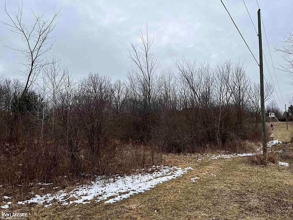 5th image of 0 Pinckney Rd