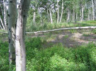 1471 Spruce Rd, Cimarron, CO 81220