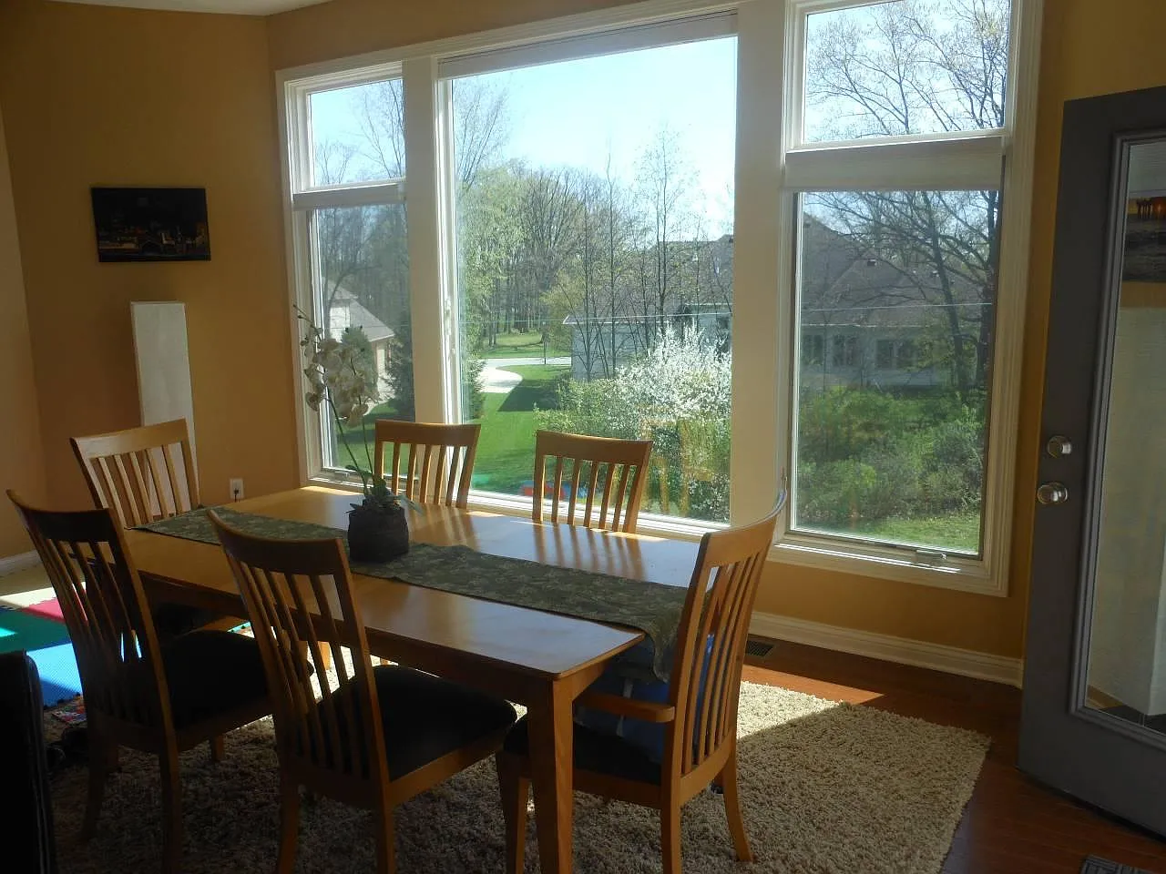7905 Shady Lake Ct — Photo 2