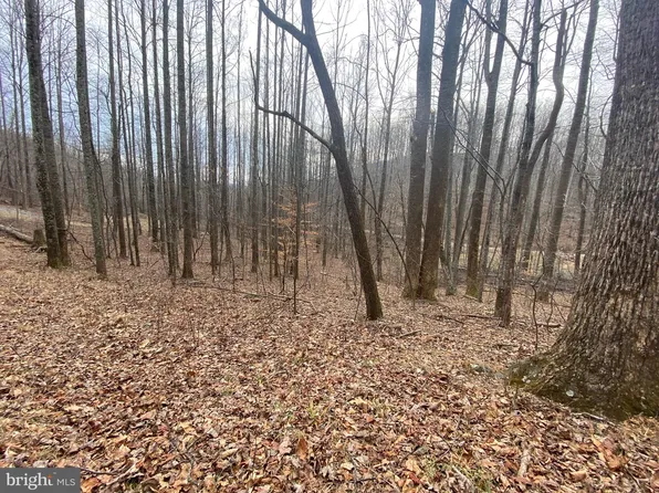 0 Lost Lakeview Rd, Madison, VA 22727