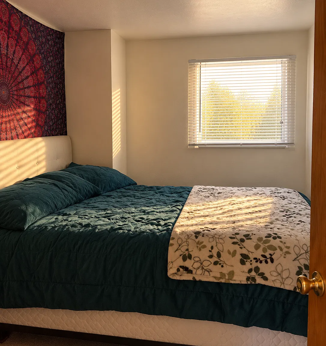 4 bed, 1250 sqft, $5,000 — Photo 4