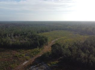 0 Edward Lee Rd, Homerville, GA 31634