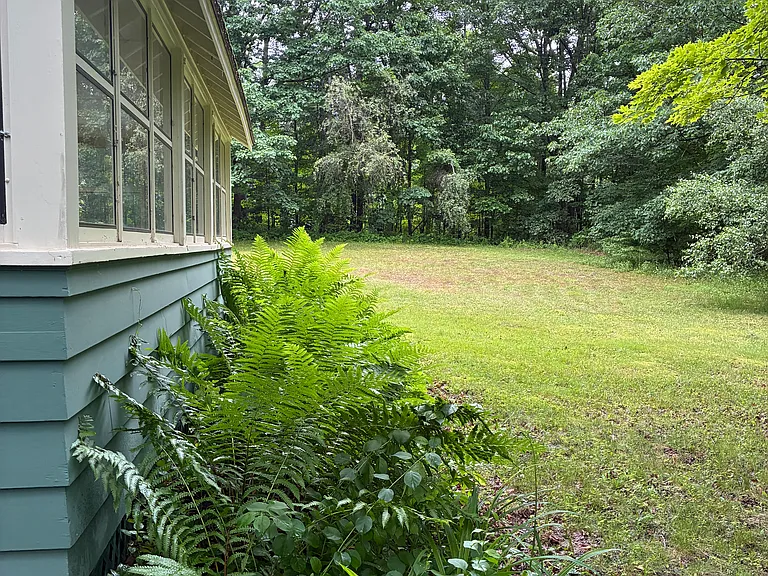 Side yard