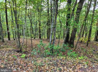 445 Chestnut Ridge Rd, Mount Jackson, VA 22842