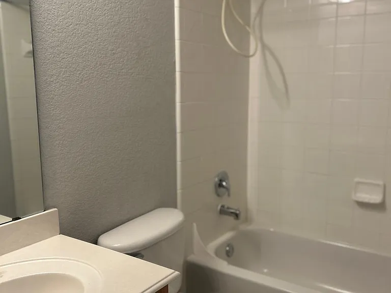 hall bathroom