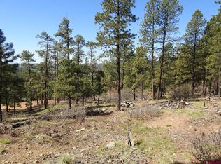 1142 Deer Ridge Drive, Bayfield, CO 81122
