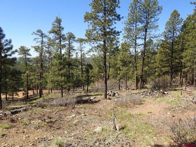 1142 Deer Ridge Drive, Bayfield, CO, 81122