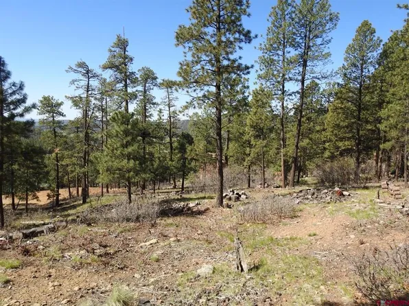 1142 Deer Ridge Drive, Bayfield, CO 81122
