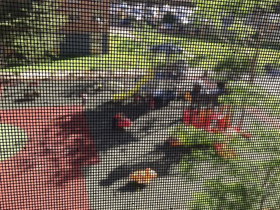 3rd image of 2932 W 5th St APT 4C