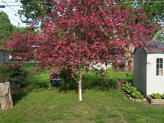 5th image of 916 Emerald Dr