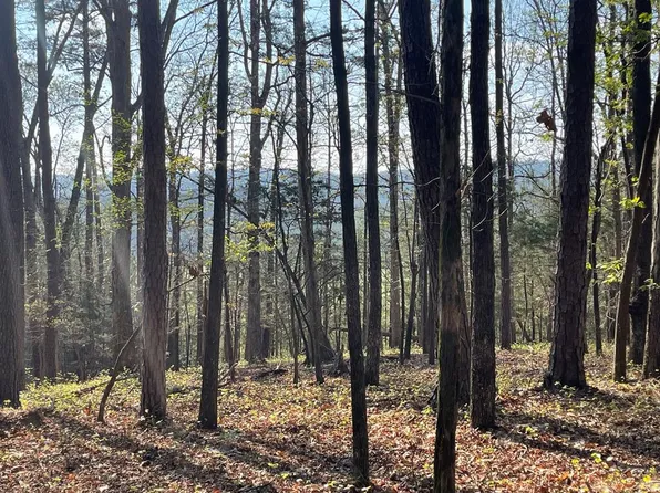 Tract1b Chalcrest Way, Cave Spring, GA 30124