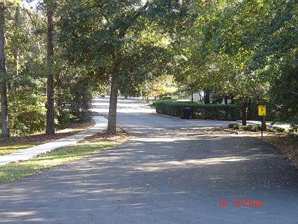 Quiet neighborhood setting
