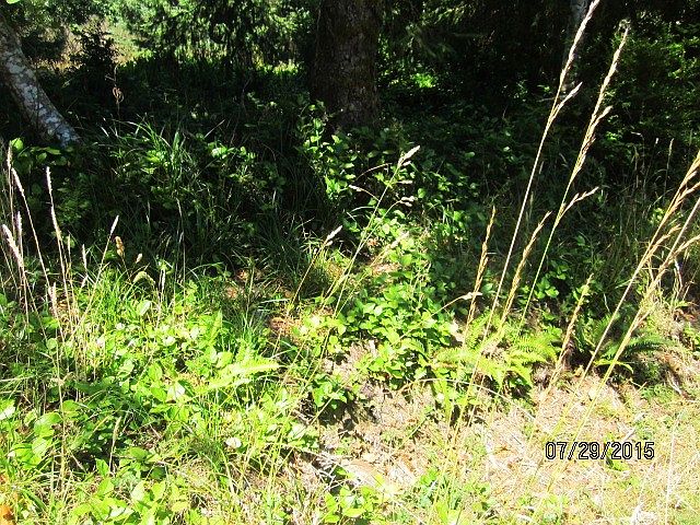 2nd image of 263 Duck Lake Dr SE