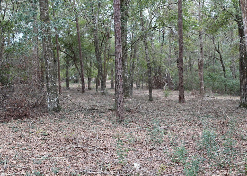 2nd image of 1981 Redfish Run SW