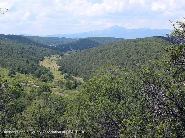 L49 Peterson Rd, Alto, NM 88312