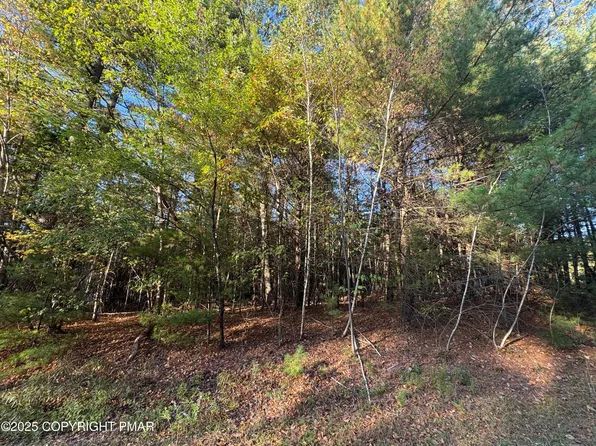 LOT 13 Pine Tree Ln, Kunkletown, PA 18058