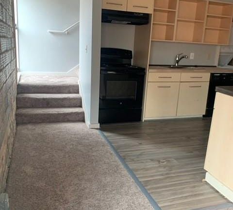 4th image of 110 E Allegan St #4