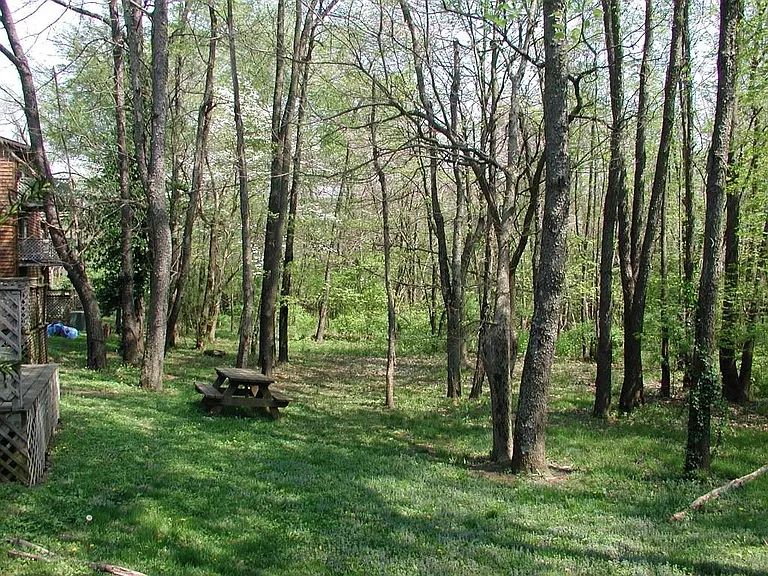 Deck and rear windows enjoy a Wooded View
