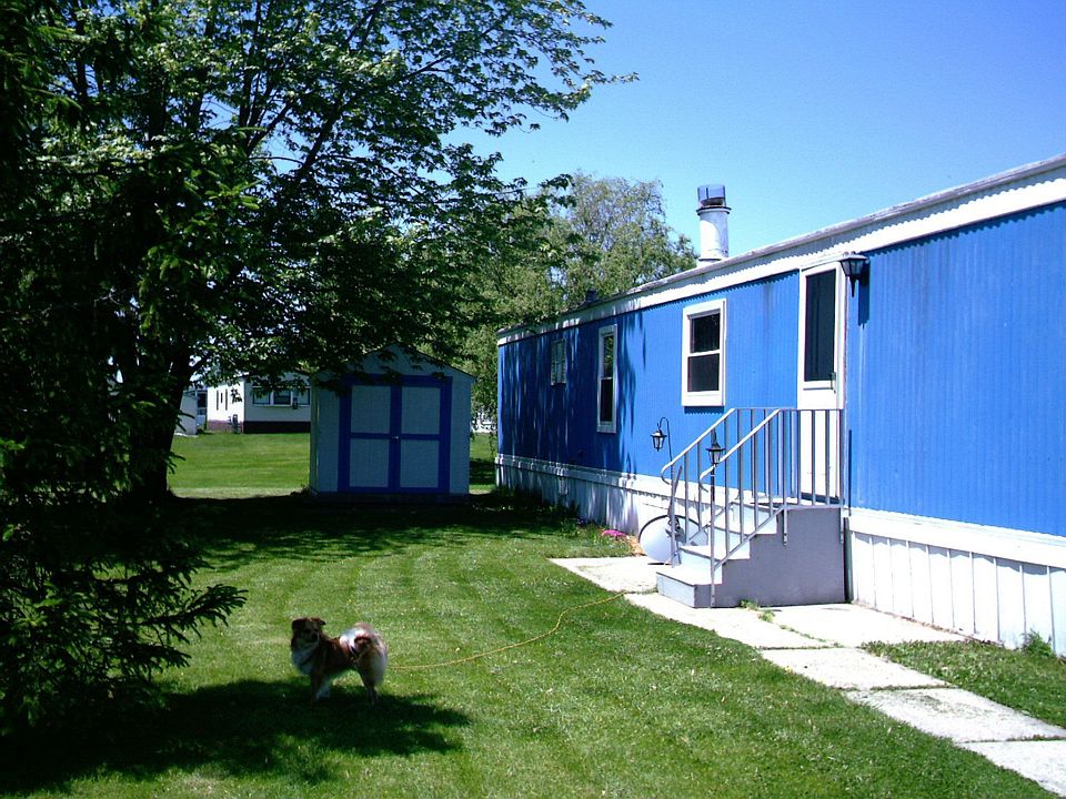 Beautiful yard