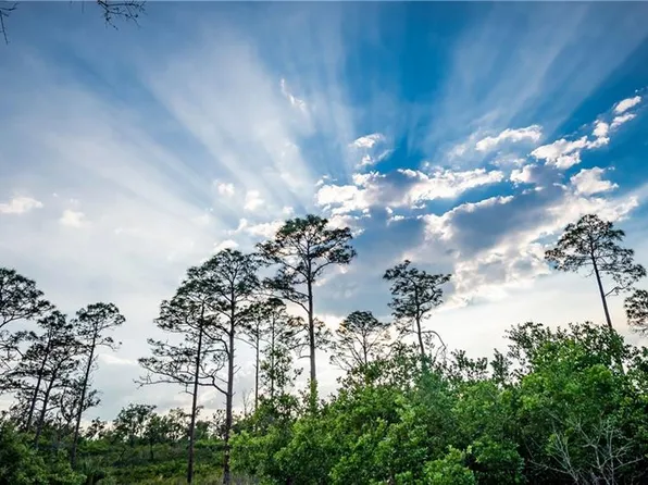 LOT 391 Bald Eagle Dr, Abita Springs, LA 70420