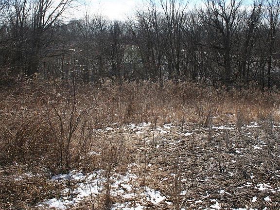 5th image of Dutchmans Creek