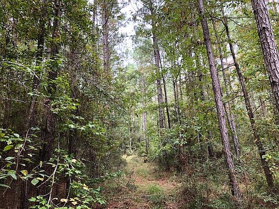 4th image of 66 Ac Dominick Rd