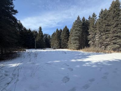 16782 Craft Rd, Hersey, MI, 49639