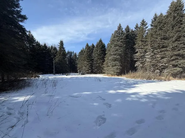 16782 Craft Rd, Hersey, MI 49639