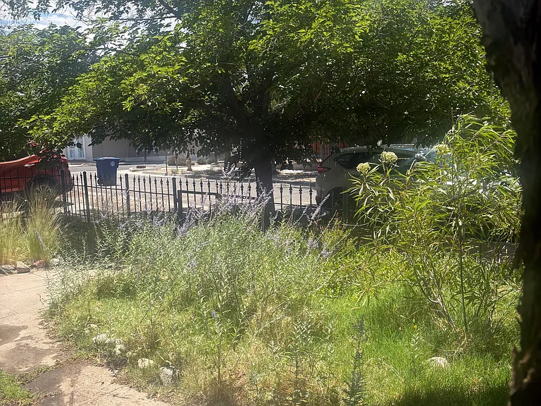 Another view of front yard