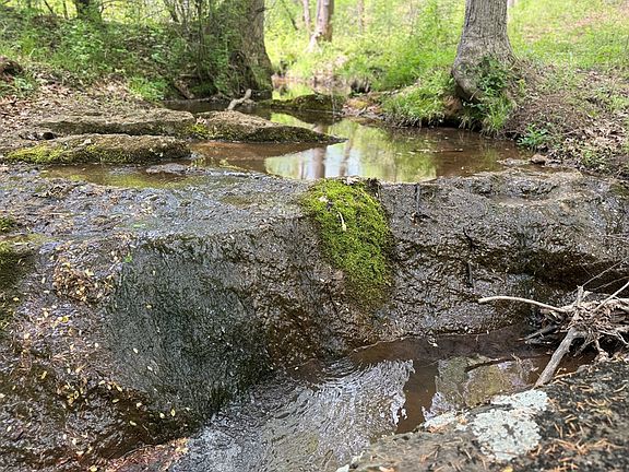 3rd image of 1980 Power Dam Rd