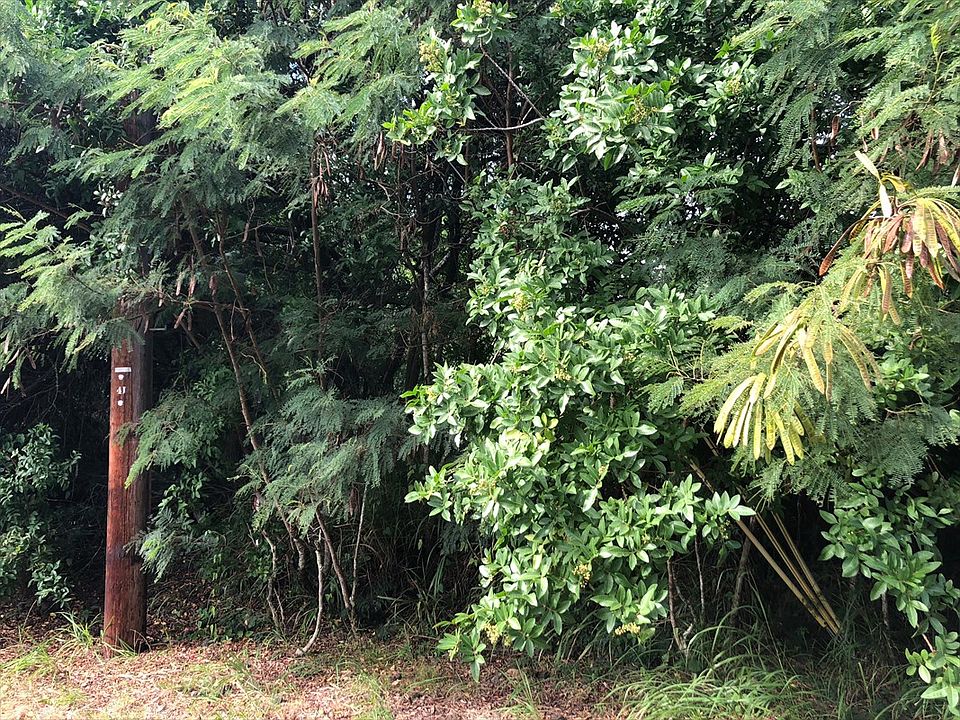 2nd image of Pua St