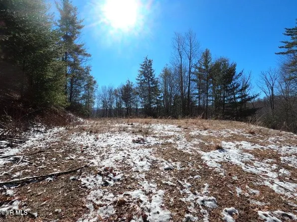 Tbd Heartwood Ln, Butler, TN 37640