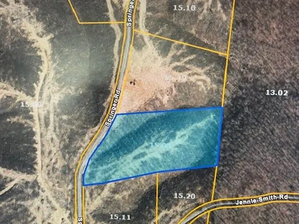 0 Springer Rd, Hohenwald, TN 38462
