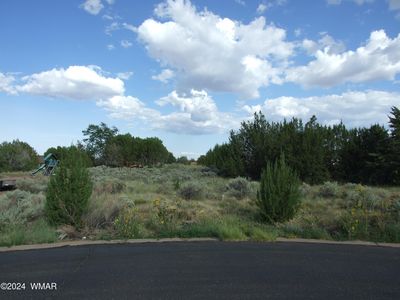 130 N Lyon Gate Dr, Snowflake, AZ, 85937
