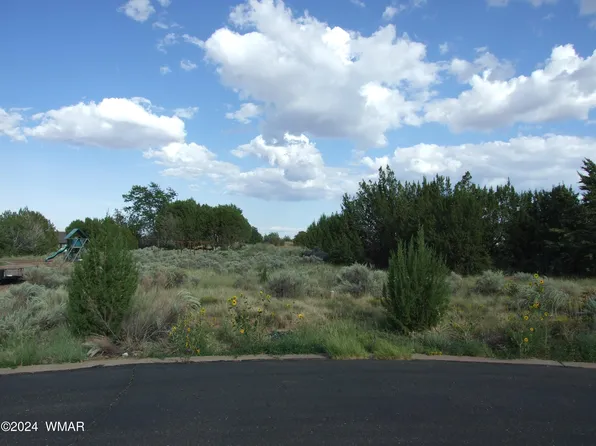 130 N Lyon Gate Dr, Snowflake, AZ 85937