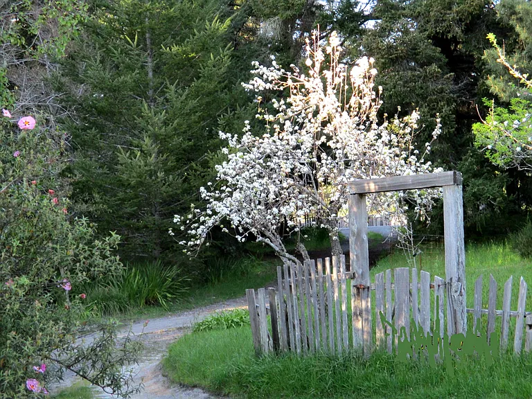 Franklin Rd — Photo 2