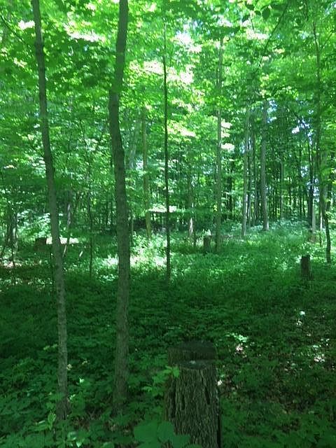 1st image of 5171 Township Road 179