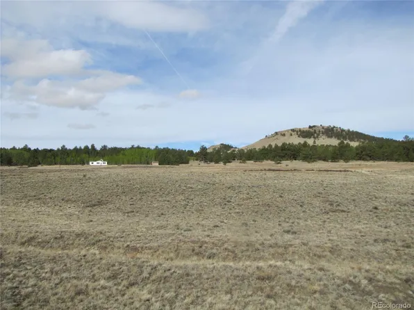 487 Falcon Road, Hartsel, CO 80449